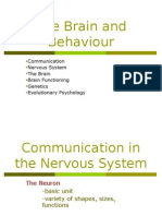 The Brain and Behaviour-3