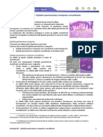 Istologia 05 - Epitelio Pavimentoso Composto Corneificato