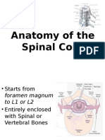 Anatomy of The Spinal Cord: Prepared By: Maria Michaela Valenzuela, PTRP