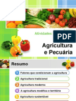 Agricultura e Pecuária