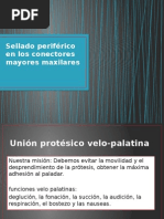 Sellado Periferico en Los Conectores Mayores Maxilares