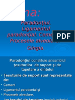 Paradonţiul. Ligamentul Paradonţial. Cementul. Procesele Alveolare. Gingia.