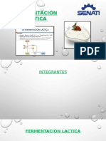 Fermentación Láctica