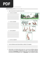 Taller Estructura de Los Ecosistemas