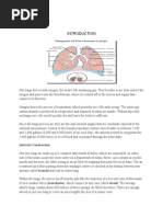 Case Study On Lung Cancer