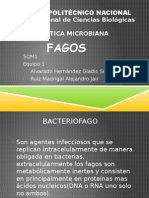 Fagos