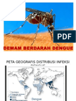 Demam Berdarah Dengue 