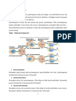 SPERMATOGENESIS