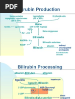 Bilirubin