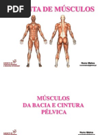 Musculos Bacia