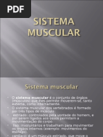 Musculos