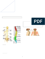 Lecture Notes On Neurologic Nursing Prepared By: RONEL E. JAPON