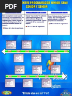 Diferencia Entre Programador Junior, Semi Senior y Senior PDF