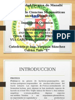 MICROBIOLOGIA Proteus Vulgaris