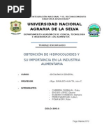 Informe Original de Hidrocolides