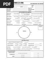 DPI Test Report