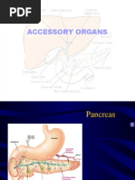 Accessory Organs