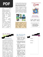 Triptico Medio Ambiente