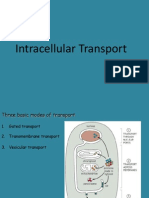 Intracellular Transport