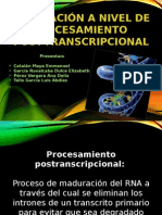 Procesamiento Postranscripcional