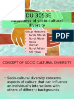 EDU 3053E: Awareness of Socio-Cultural Diversity