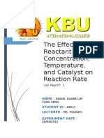 Chemistry Lab Report 1