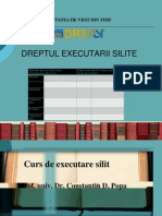 Executare Silita