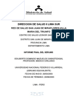 Direccion de Salud Ii Lima Sur: Red de Salud San Juan de Miraflores-Villa Maria Del Triunfo