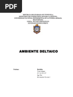 Ambiente Deltaico