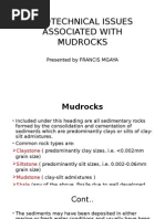 Geotechnical Issues Associated With Mudrocks