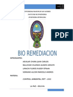 BIORREMEDIACION