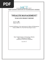 "Wealth Management": Year Long Project Report