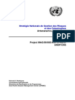 Stratégie Nationale de Gestion Des Risques PDF