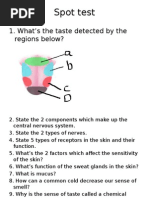 Spot Test: 1. What's The Taste Detected by The Regions Below?