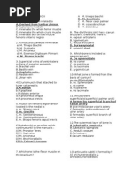 Anatomy Biomed 2