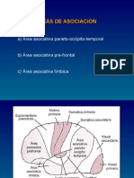 Medicina - Fisiologia. Areas Asociacion