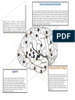 Print Out - Acquired Brain Injury Overview