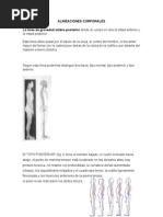 Alineaciones Corporales
