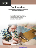 Credit Analysis