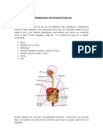 Enfermedades Gastrointestinales