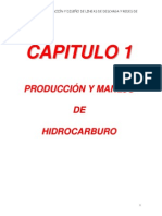 Cap1-Procesos de Produccion y Manejo de Hidrocarburos