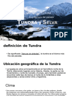 Selva y Tundra 