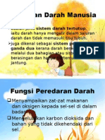 Peredaran Darah