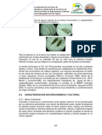 Informe Final POMCA Tapias Tomo 2 de 4 Parte 3 de 3