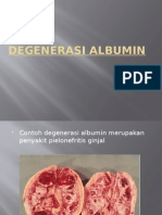 R1-PA (Degenerasi Albumin)