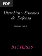 Clase PPT Bacterias, Virus, Inmunidad