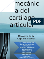 Biomecánica Del Cartílago Articular