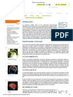 Esclerosis Multiple