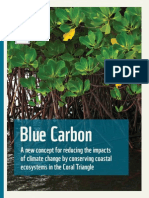 Blue Carbon PDF