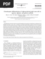 Chondrogenic Differentiation of Adipose-Derived Adult Stem Cells in Agarose, Alginate, and Gelatin Scaffolds